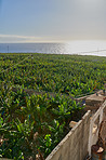 Los Llanos, La Palma, Canary Islands