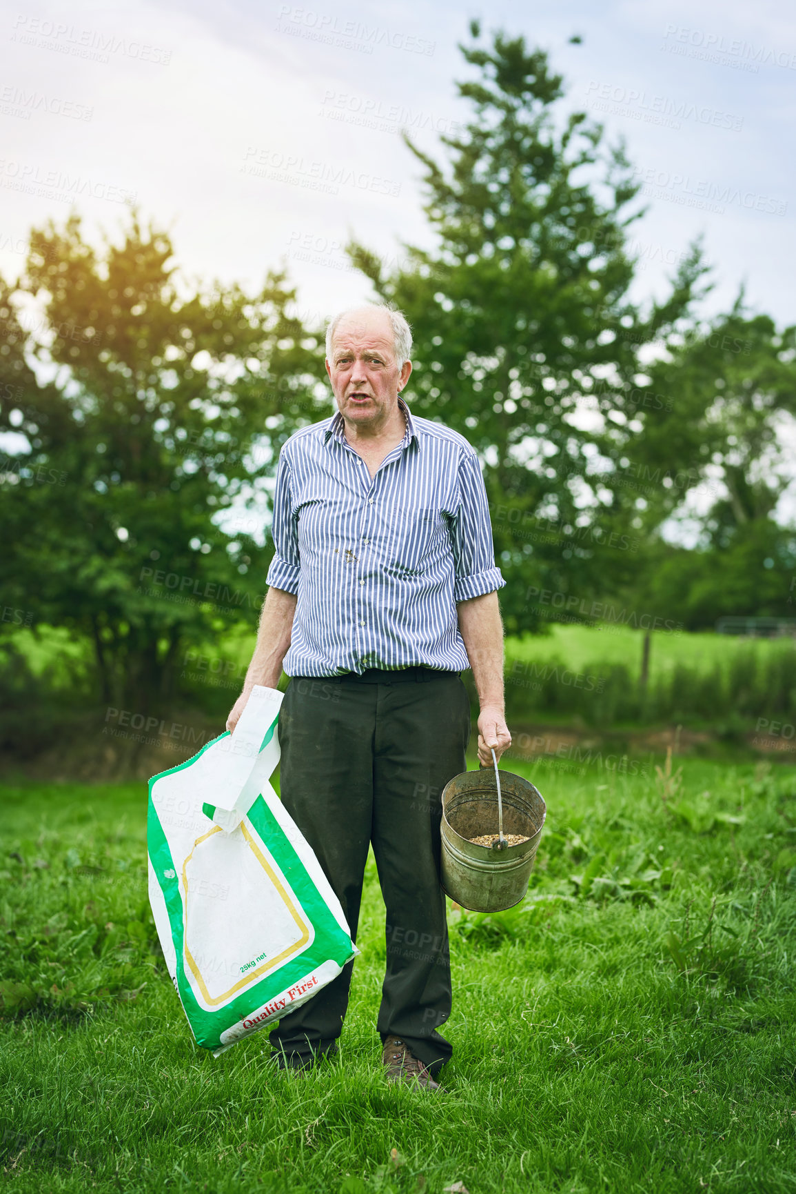 Buy stock photo Shot of a senior man holding a bag of animal feed on a farm