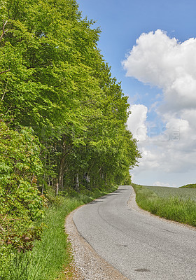 Buy stock photo Road between trees and a meadow in spring with a cloudy blue sky. Countryside street or avenue winding through a beautiful empty forest green grass land. A scenic nature path for traveling or hiking