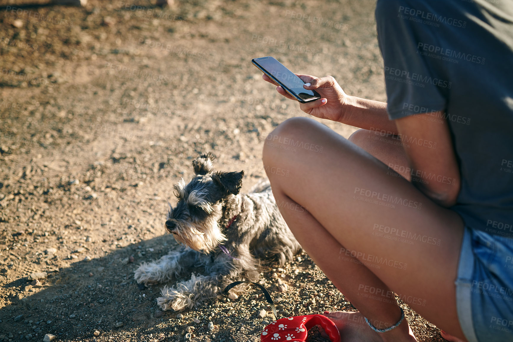 Buy stock photo Shot of an unrecognisable woman using a smartphone on the farm with her dog