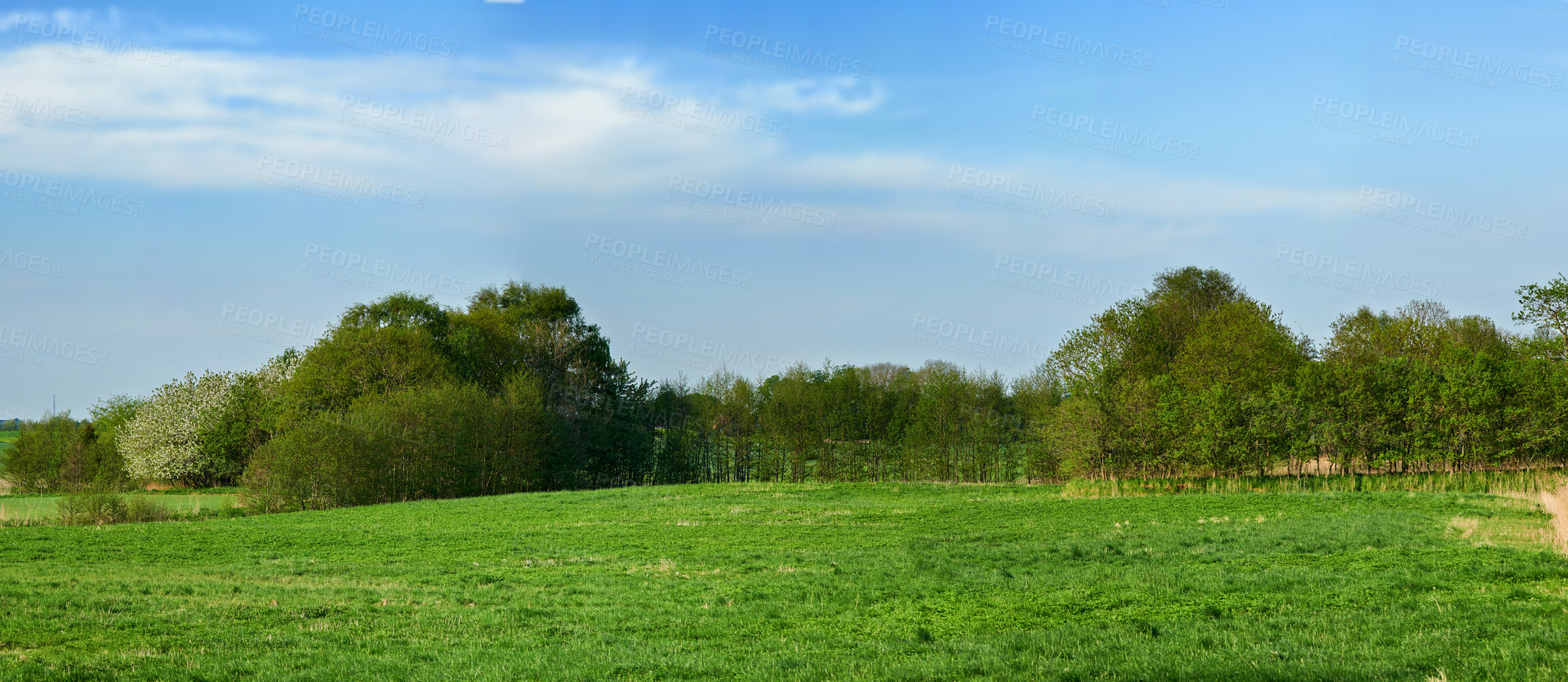 Buy stock photo A  photo of the Danish countryside at summertime