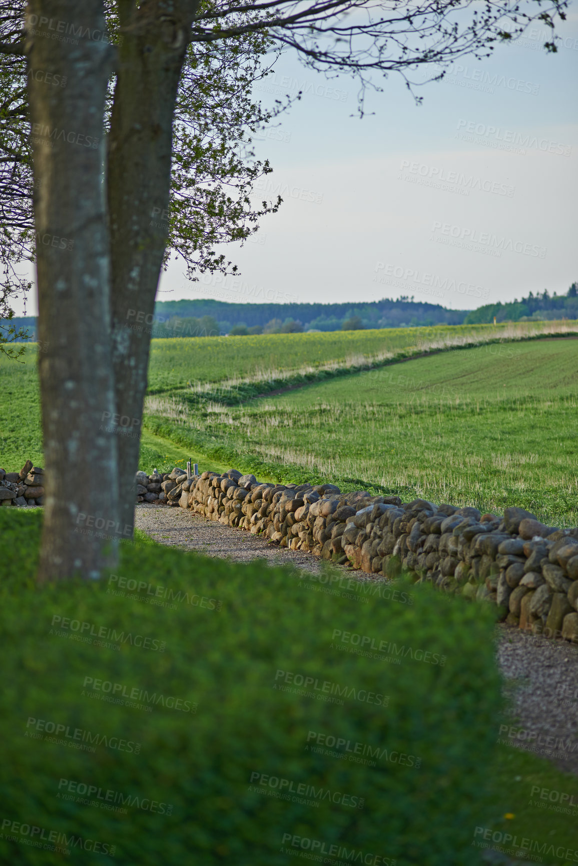 Buy stock photo A  photo of the Danish countryside at summertime