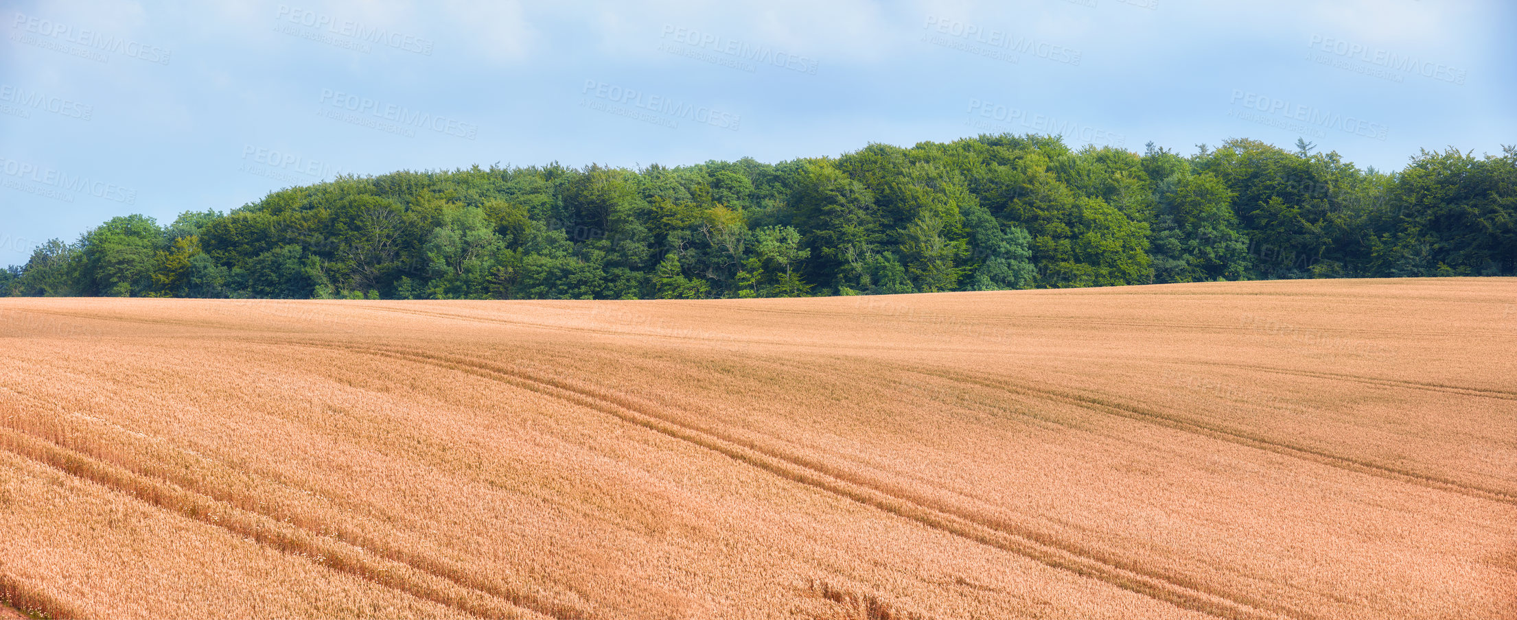 Buy stock photo A  photo of the Danish countryside at summertime