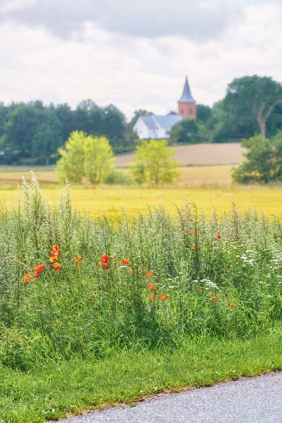 Buy stock photo Green fields and blue sky in spring and early summer