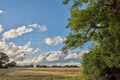 Buy stock photo Green fields and blue sky in spring and early summer