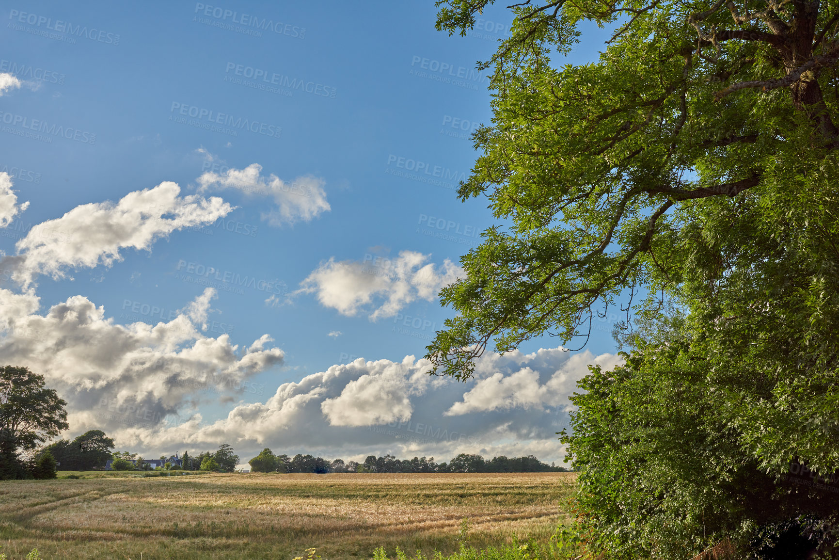 Buy stock photo Green fields and blue sky in spring and early summer