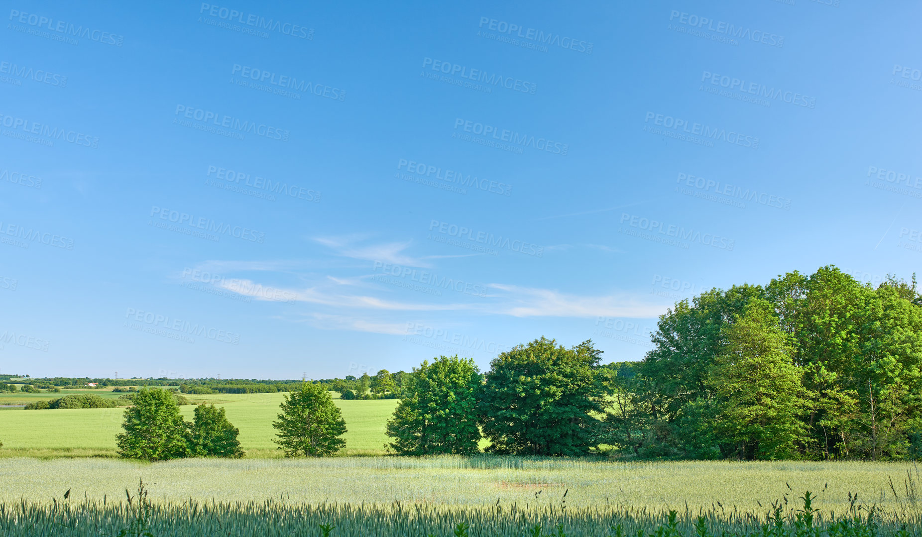 Buy stock photo Green fields and blue sky in spring and early summer