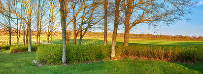 Buy stock photo Green fields and blue sky in spring and early summer