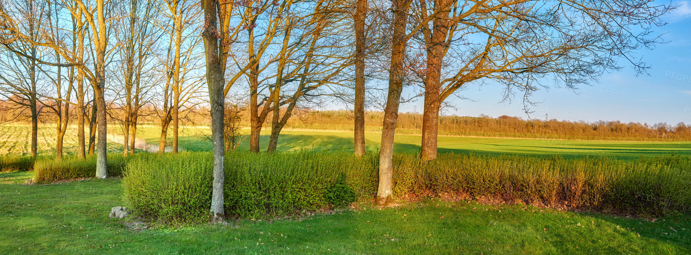 Buy stock photo Green fields and blue sky in spring and early summer