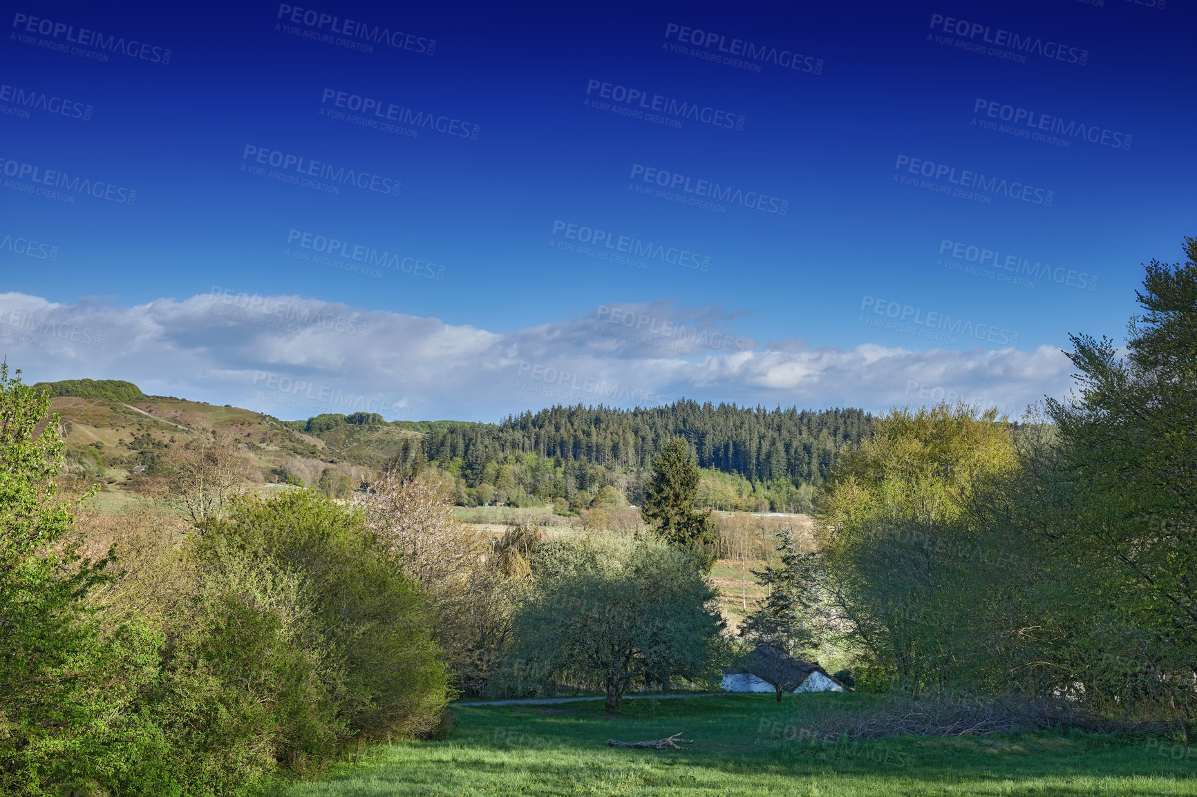 Buy stock photo A  photo of the Danish countryside at summertime