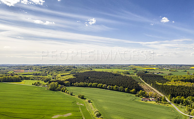 Buy stock photo Countryside with natural, green and sunny field on farm. Calm, beautiful and large agriculture space. Clear blue skies and soft grass during the spring daytime. Area found in Jutland, Denmark
