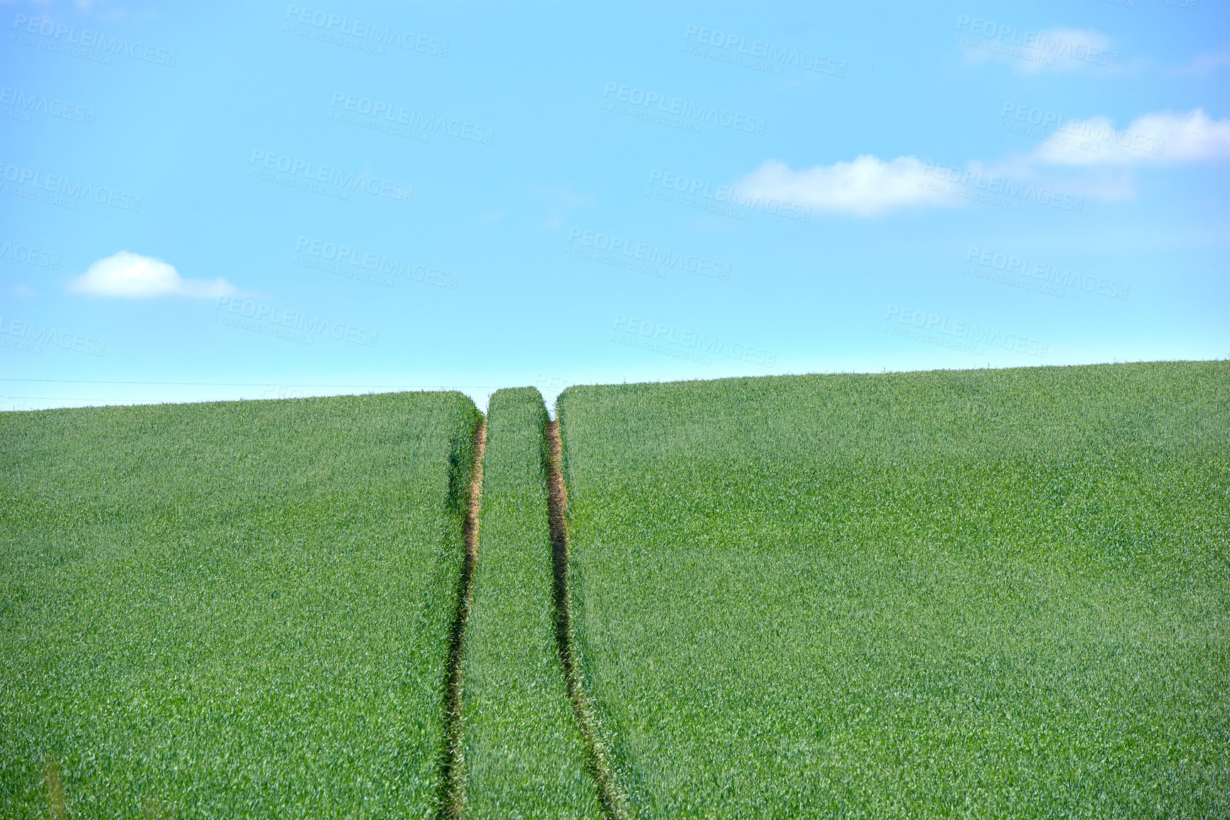 Buy stock photo Rolling Green fields and blue sky 