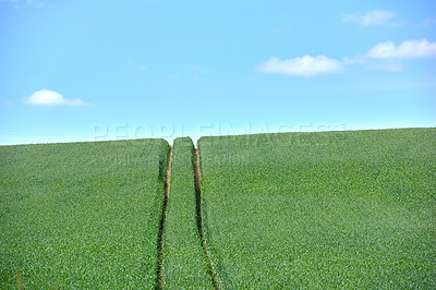 Buy stock photo Rolling Green fields and blue sky 