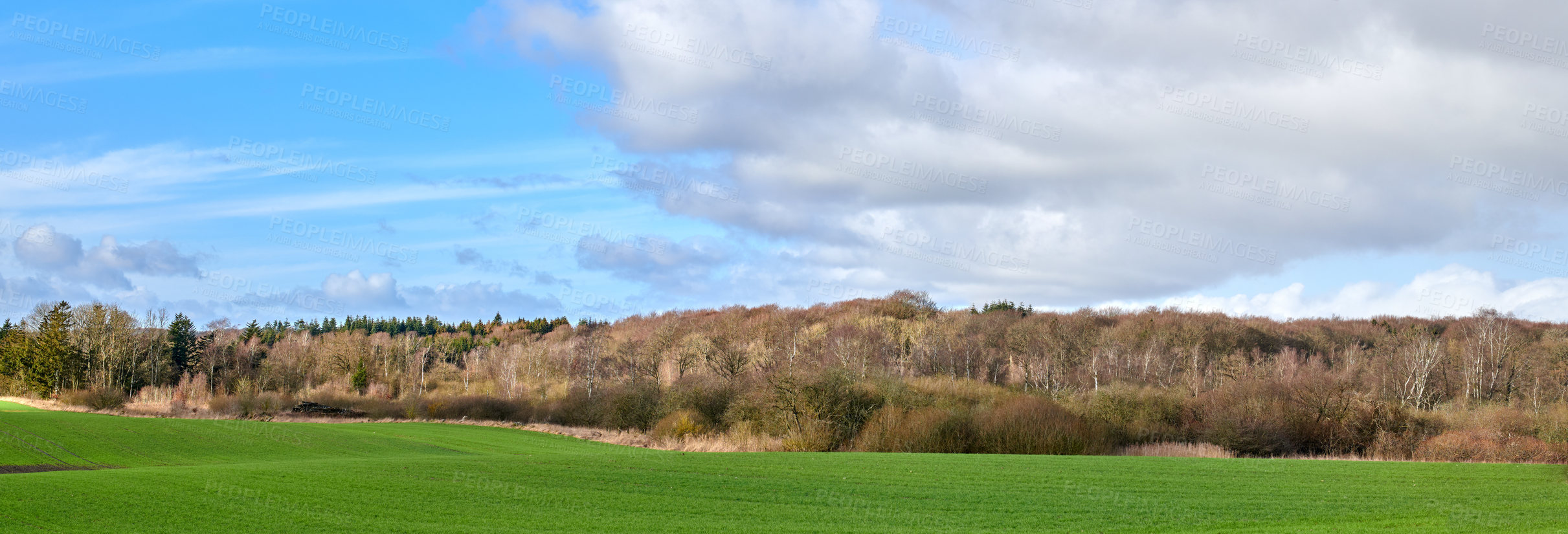 Buy stock photo A  photo of the Danish countryside at summertime