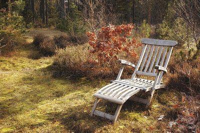 Buy stock photo Garden chair for a relaxing and quiet view of nature outside. Decorating and landscaping a park or natural environment with a seat between plants. Old wooden chair in a backyard garden in autumn.