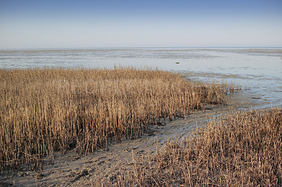 Buy stock photo The east coast of Jutland facing Kattegat