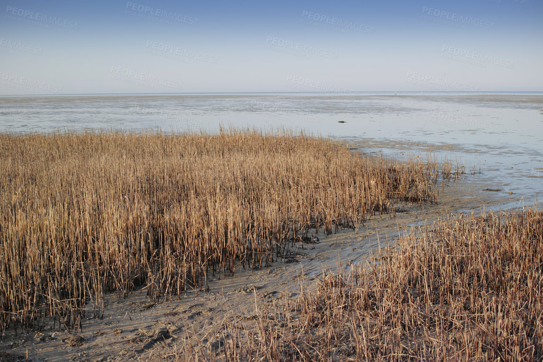 Buy stock photo The east coast of Jutland facing Kattegat