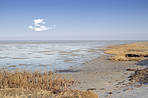 East coast of Jutland,  Denmark