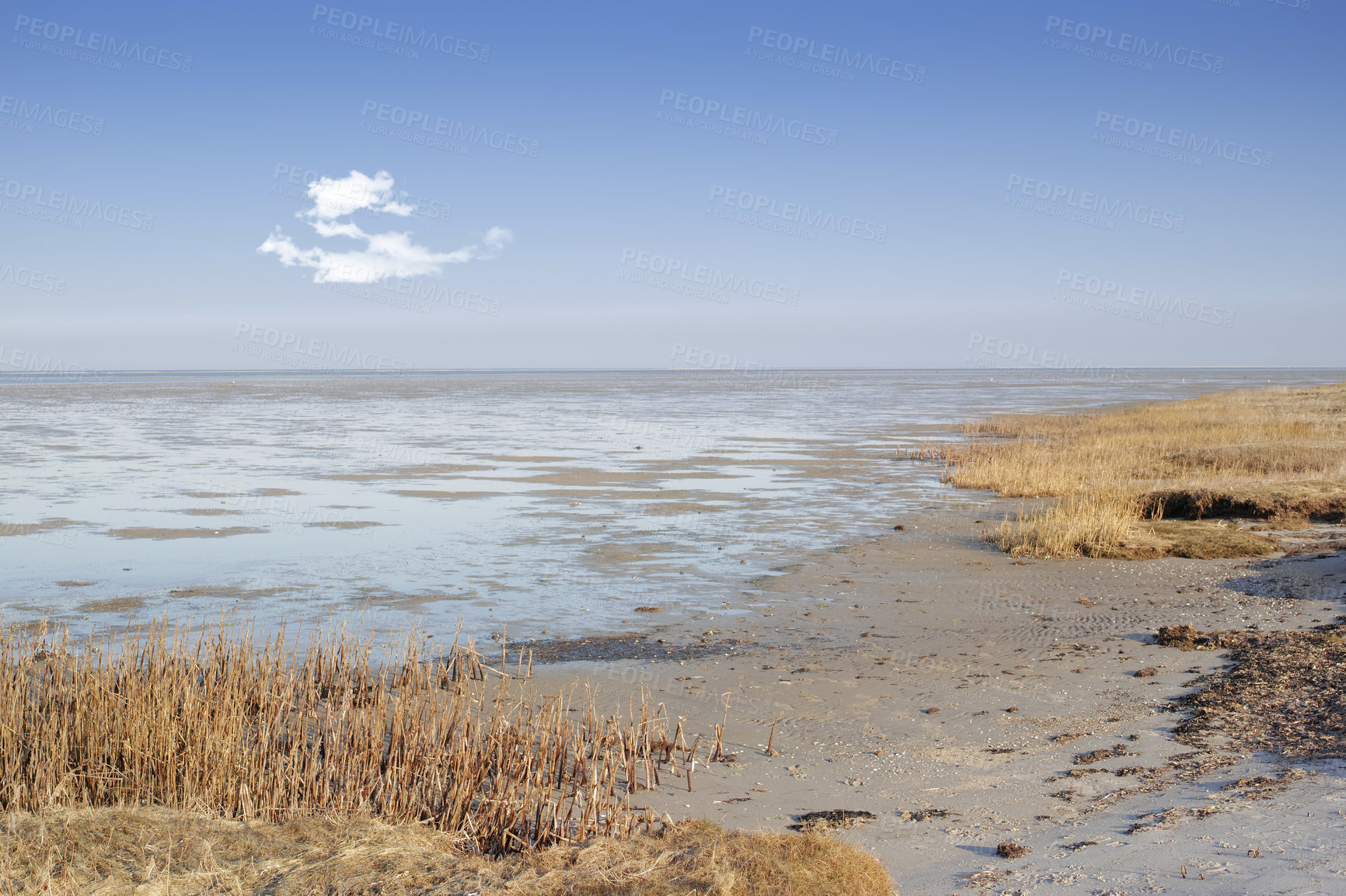 Buy stock photo The east coast of jutland facing Kattegat