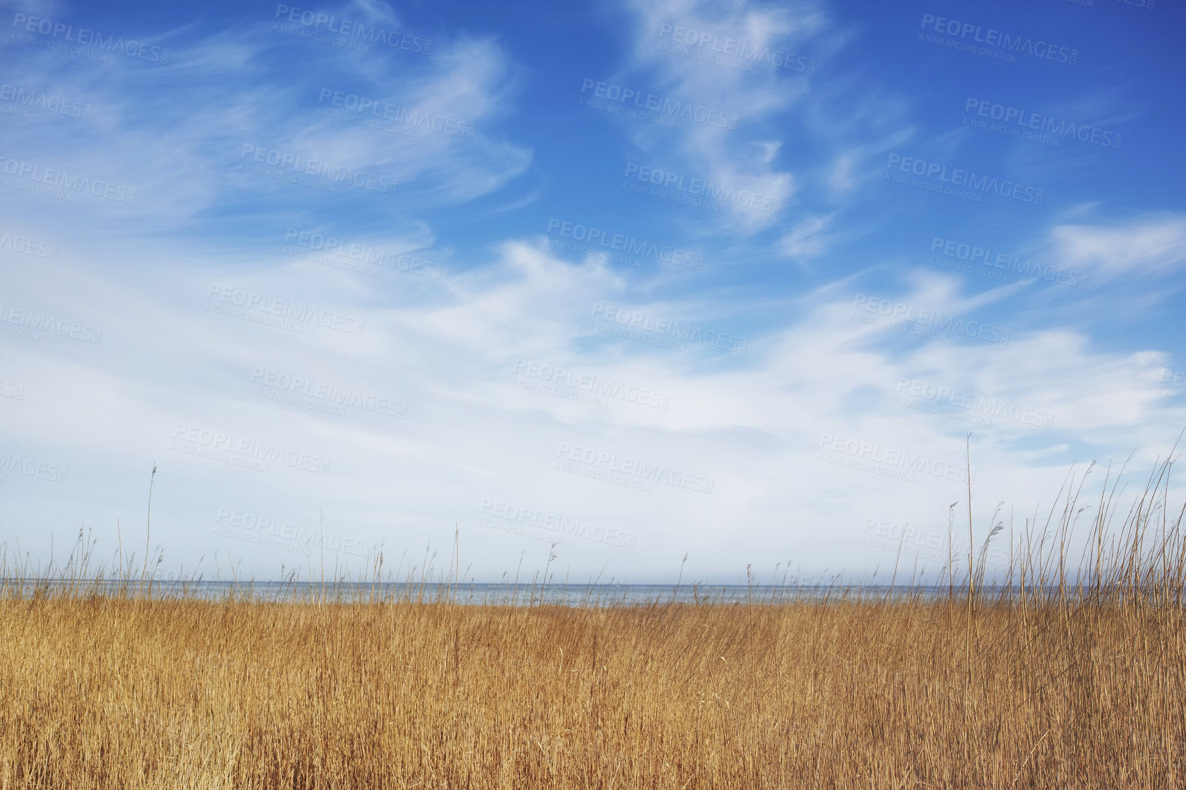 Buy stock photo The east coast of Jutland facing Kattegat