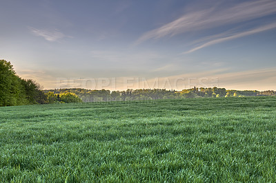 Buy stock photo A  photo of the Danish countryside at summertime