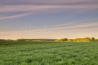 Buy stock photo A  photo of the Danish countryside at summertime