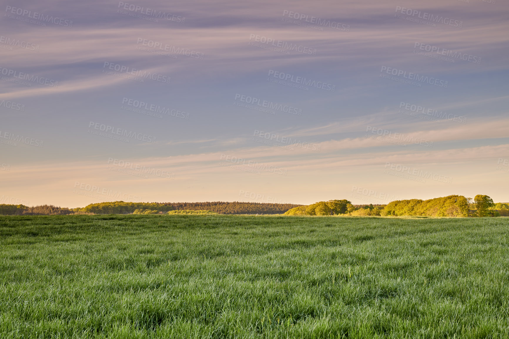 Buy stock photo A  photo of the Danish countryside at summertime