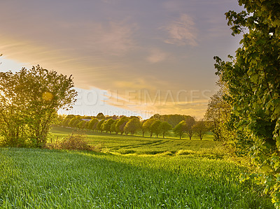 Buy stock photo A  photo of the Danish countryside at summertime