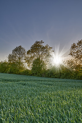 Buy stock photo A  photo of the Danish countryside at summertime