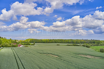 Buy stock photo Nature, field and environment with drone of countryside for agriculture, farming and summer. Grass, travel and landscape with aerial view of meadow and blue sky for growth, plants and ecology
