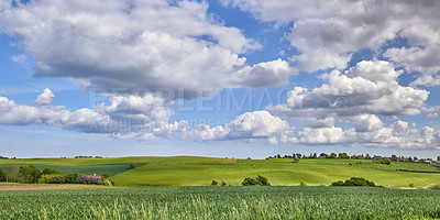 Buy stock photo A  photo of the Danish countryside at summertime