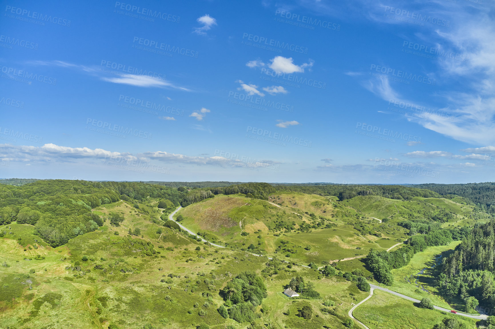 Buy stock photo An open field or forest with green grass and tall trees against the horizon under blue sky with copy space during summer. A large area of agricultural land on an estate with a long winding road