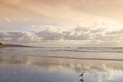 Buy stock photo Calm and peaceful - beach and ocean