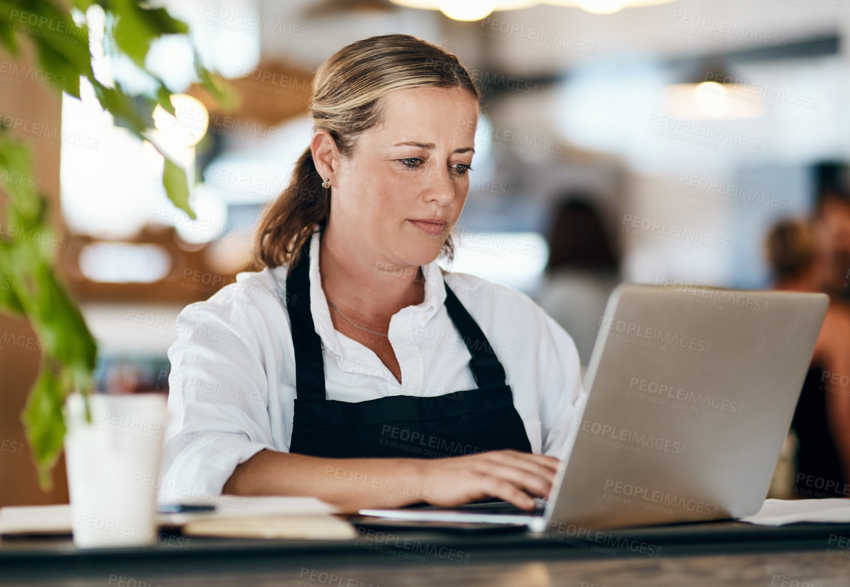 Buy stock photo Shot of a mature woman using a laptop and laptop while working in a cafe