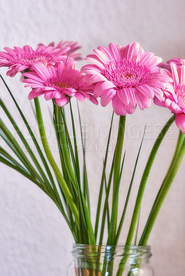 Buy stock photo Bouquet of red flowers