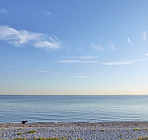 Beach and coast