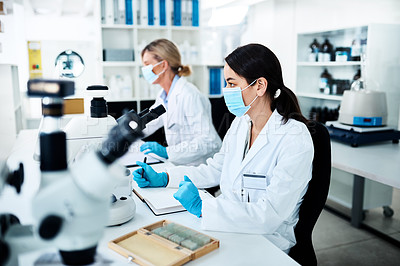 Buy stock photo Shot of a young scientist working in a lab with her colleague in the background