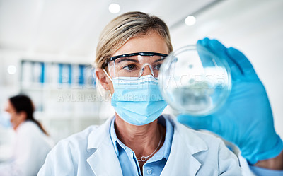 Buy stock photo Shot of a mature scientist analysing samples in a petri dish in a lab