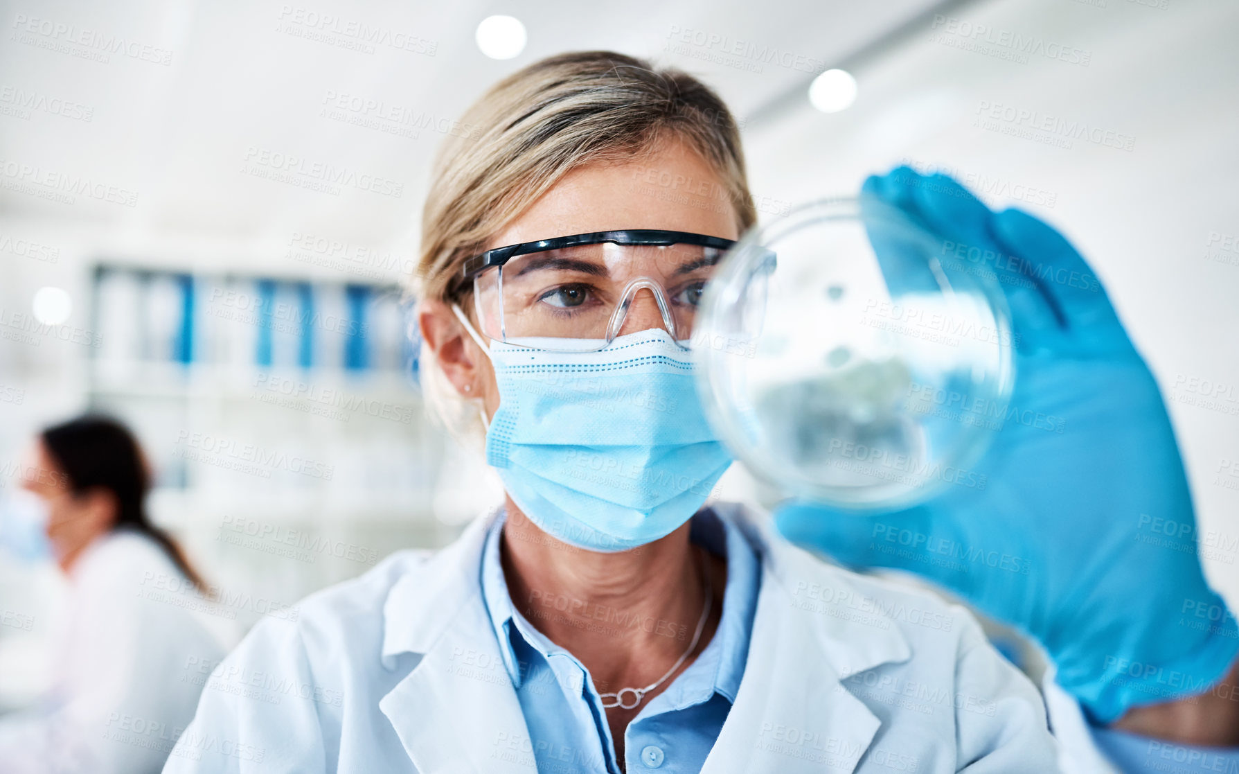 Buy stock photo Mature woman, scientist and face mask with petri dish in lab for experiment, test or exam. Female person, micro biologist or chemical compound with sample or new discovery for scientific results