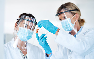 Buy stock photo Shot of two scientists analysing samples together in a lab
