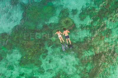 Buy stock photo High angle shot of an unrecognizable couple swimming in the waters of Raja Ampat