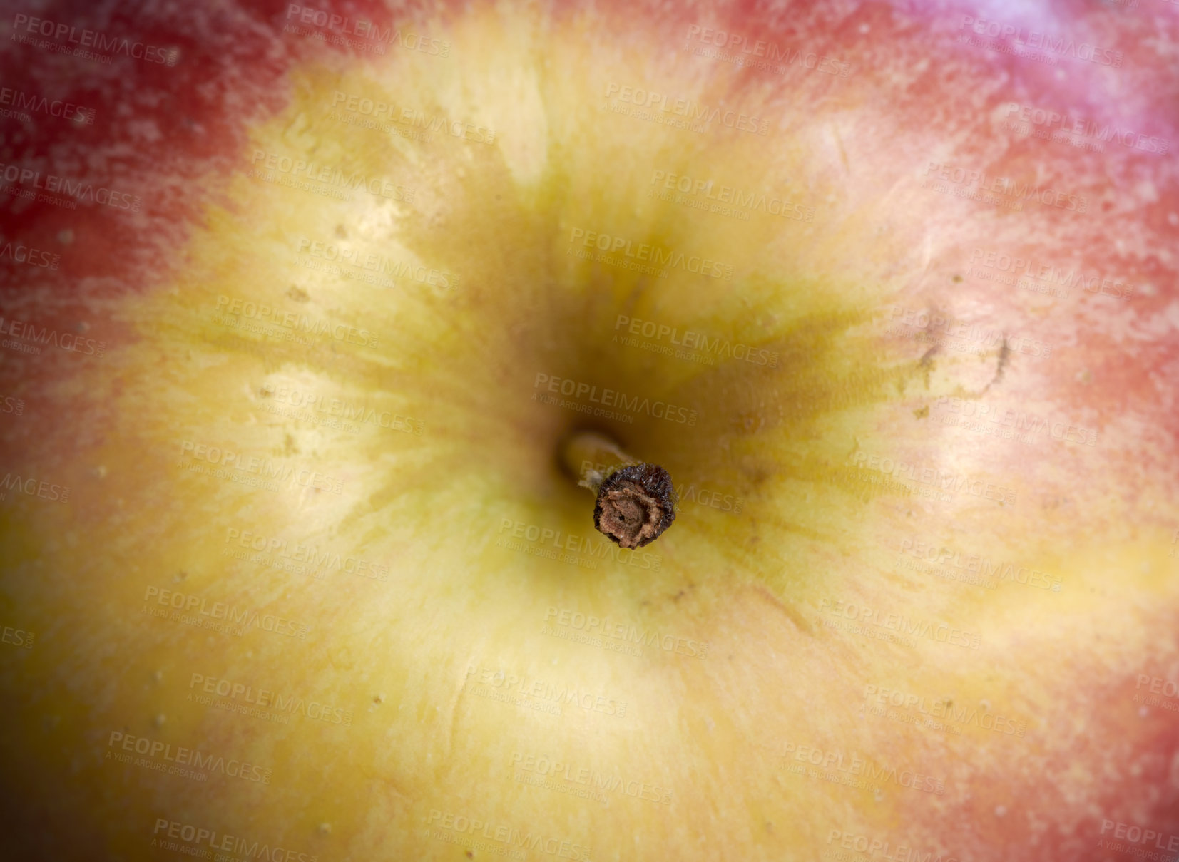 Buy stock photo Closeup of a ripe red apple zoomed in. Organic fresh produce, vegan friendly and vegetarian foods are vital for a healthy and balanced diet. Fruits have vitamins and nutrients and help boost immunity
