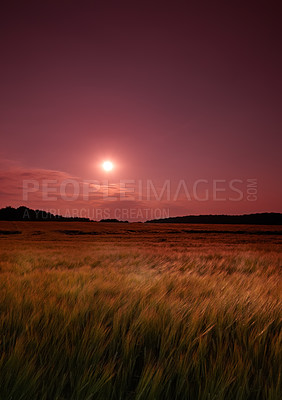 Buy stock photo Nature photos from Denmark