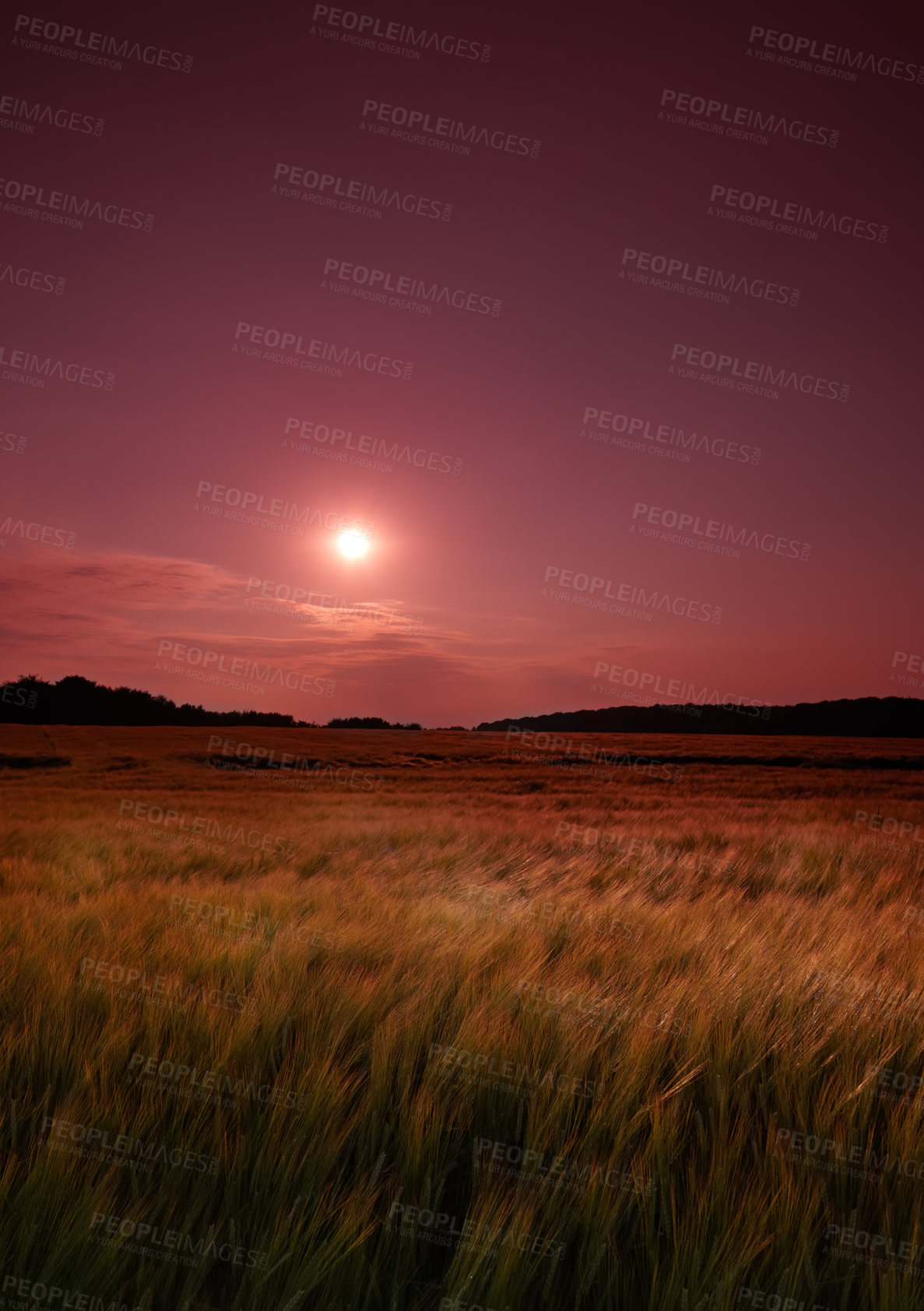 Buy stock photo Nature photos from Denmark