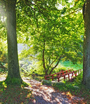 Nature in Denmark