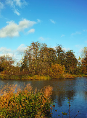 Buy stock photo Nature photos from Denmark