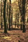 Photos from Denmark