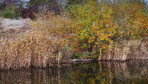 Beautiful autumn