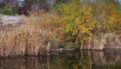 Buy stock photo Nature photos from Denmark