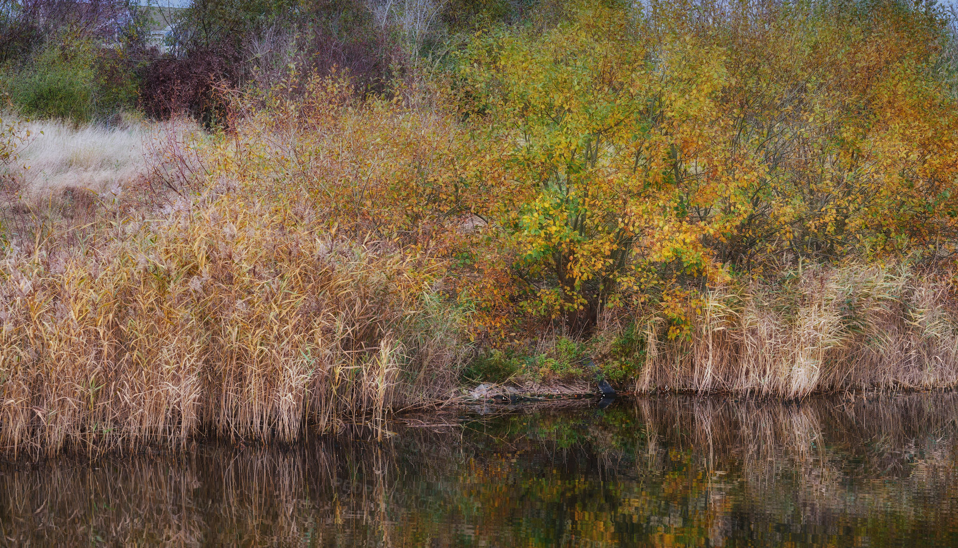 Buy stock photo Nature photos from Denmark